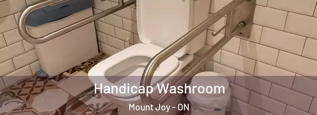  Handicap Washroom Mount Joy - ON