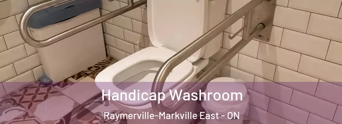  Handicap Washroom Raymerville-Markville East - ON