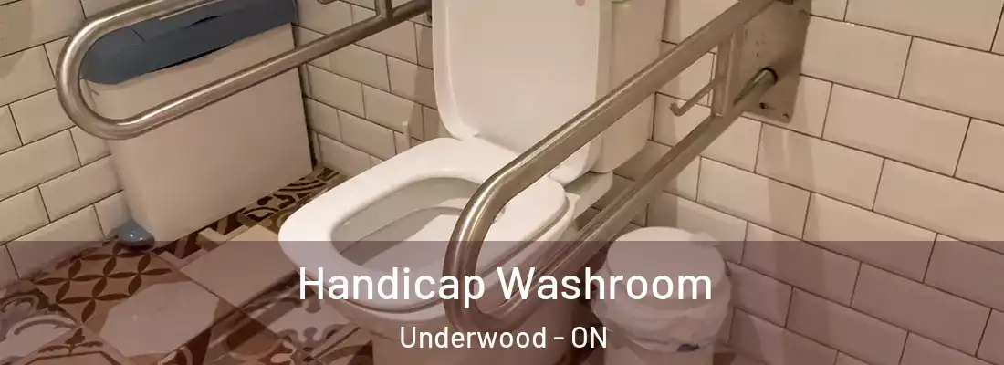  Handicap Washroom Underwood - ON
