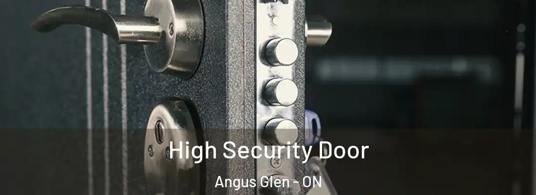  High Security Door Angus Glen - ON