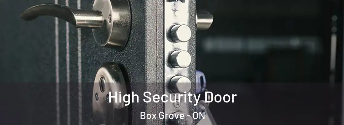  High Security Door Box Grove - ON