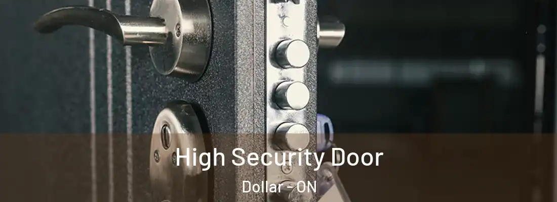  High Security Door Dollar - ON