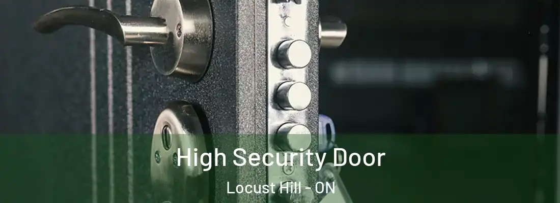  High Security Door Locust Hill - ON