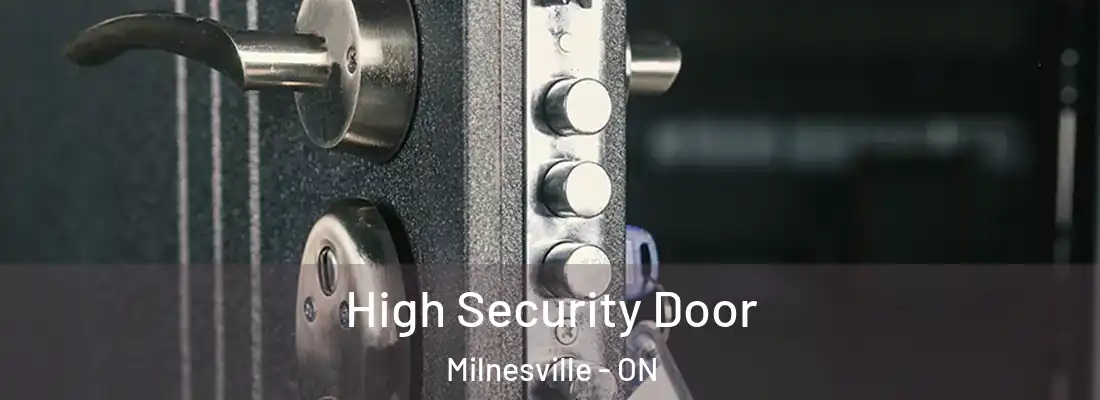  High Security Door Milnesville - ON