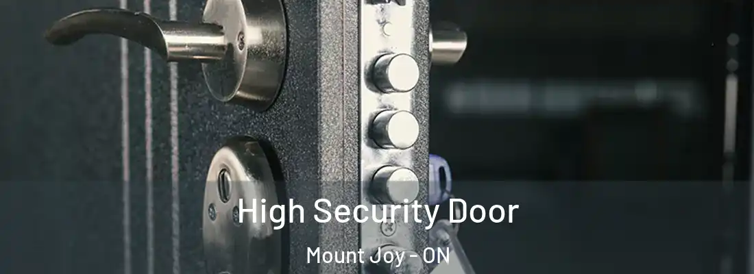  High Security Door Mount Joy - ON