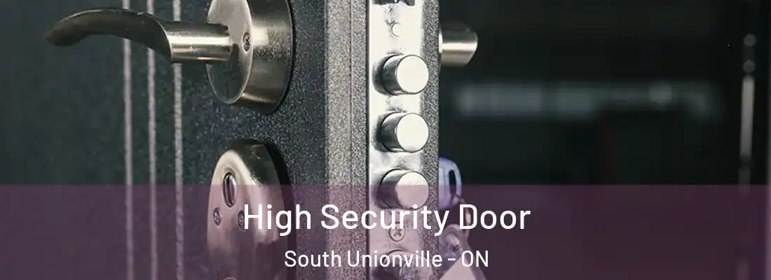  High Security Door South Unionville - ON