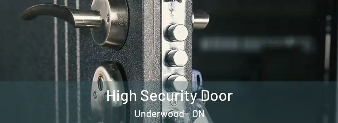  High Security Door Underwood - ON