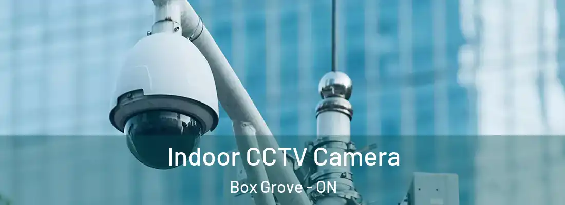  Indoor CCTV Camera Box Grove - ON