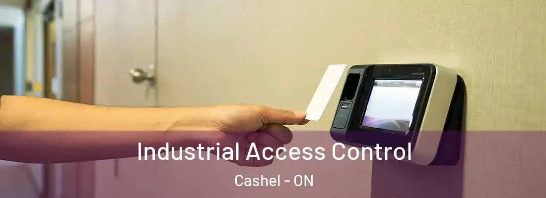  Industrial Access Control Cashel - ON
