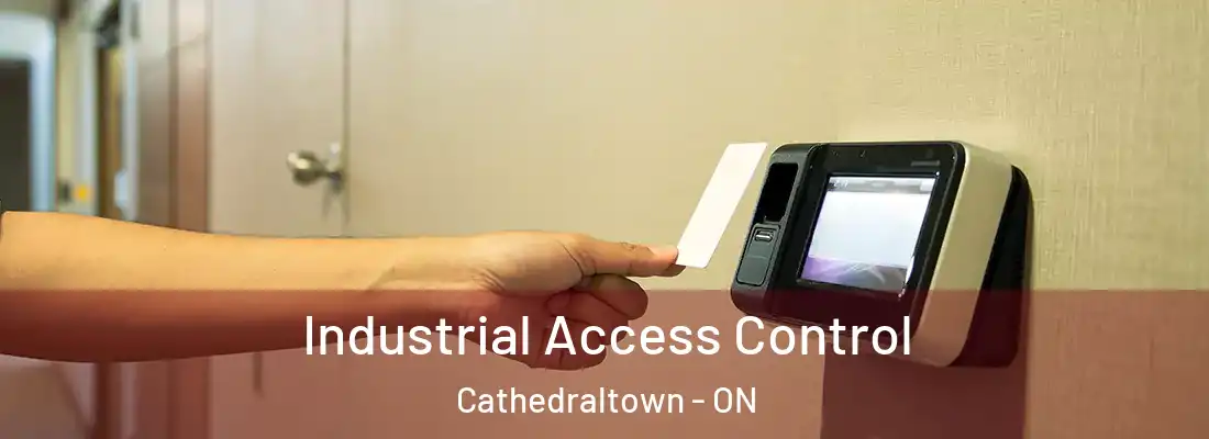  Industrial Access Control Cathedraltown - ON