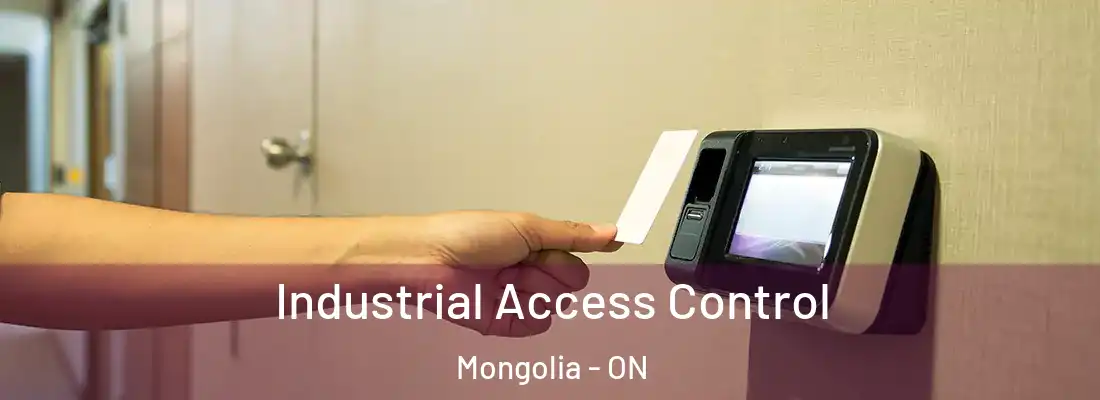 Industrial Access Control Mongolia - ON
