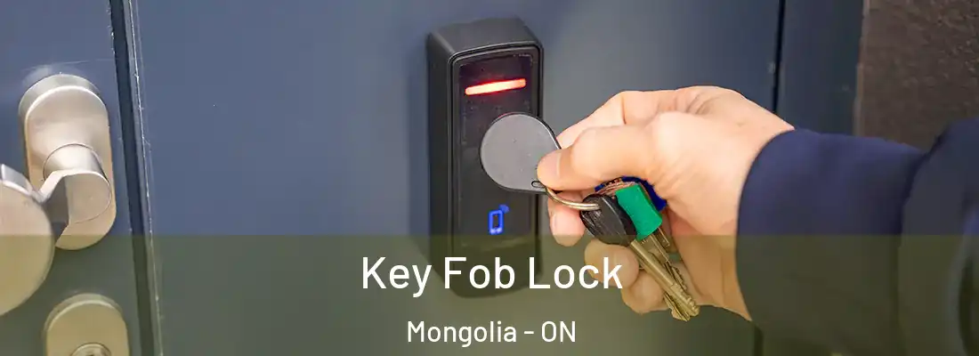  Key Fob Lock Mongolia - ON