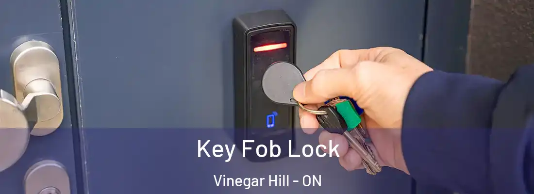  Key Fob Lock Vinegar Hill - ON