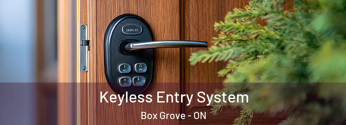  Keyless Entry System Box Grove - ON