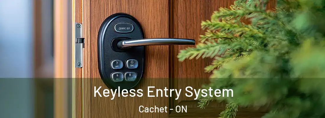  Keyless Entry System Cachet - ON