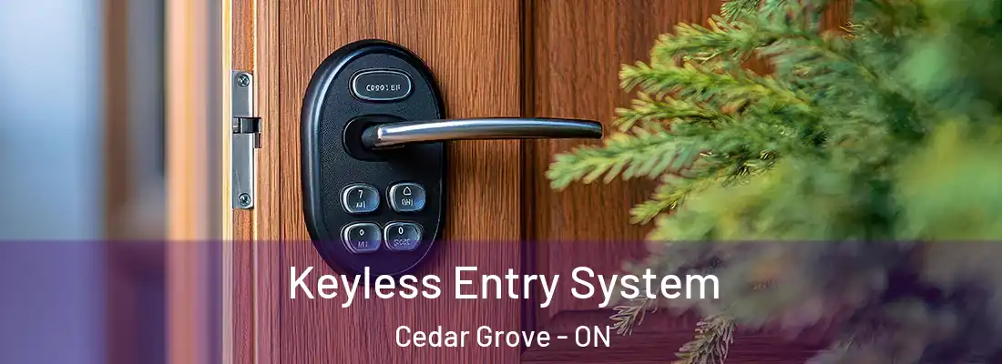  Keyless Entry System Cedar Grove - ON