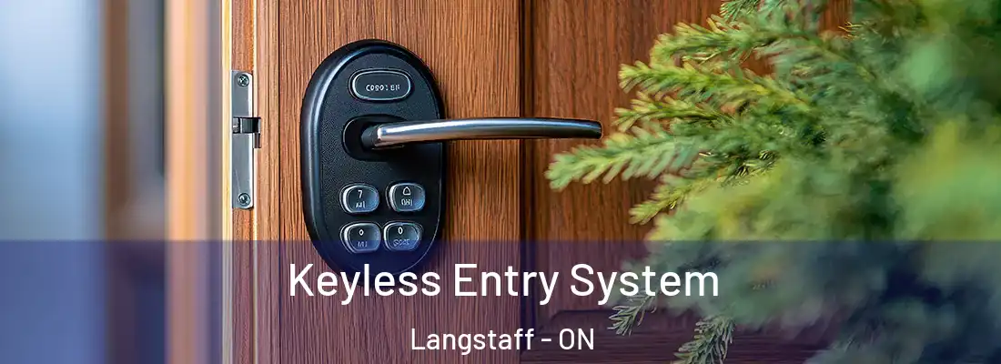  Keyless Entry System Langstaff - ON