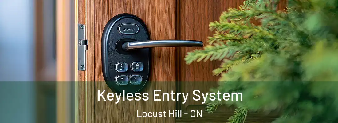 Keyless Entry System Locust Hill - ON