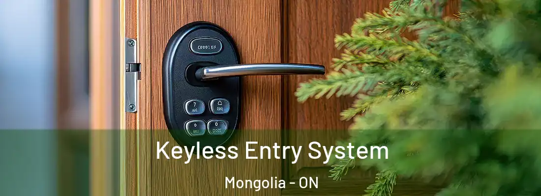  Keyless Entry System Mongolia - ON