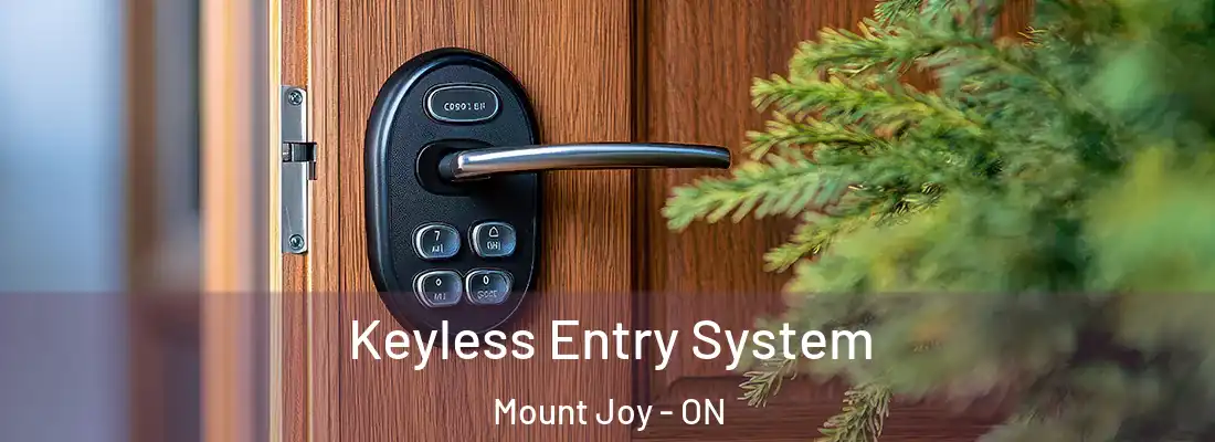  Keyless Entry System Mount Joy - ON