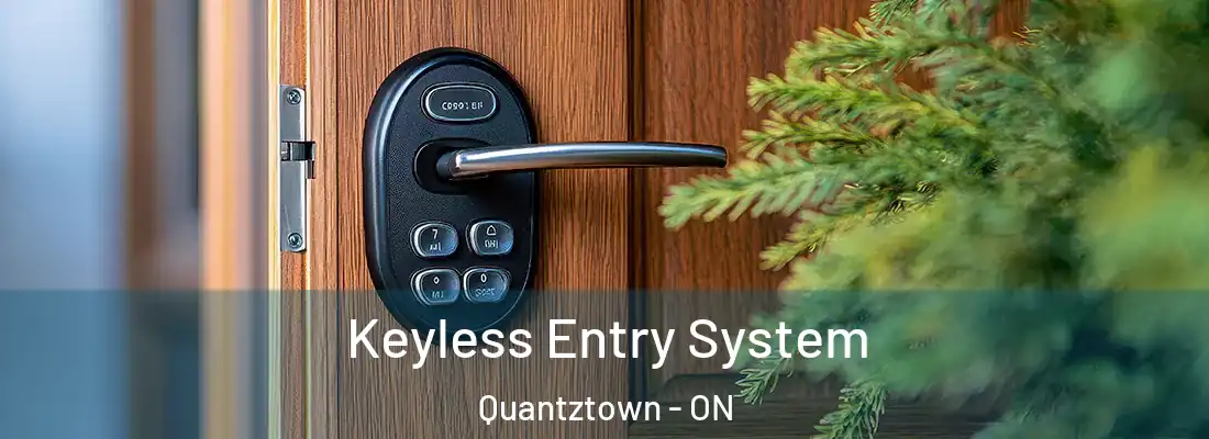  Keyless Entry System Quantztown - ON