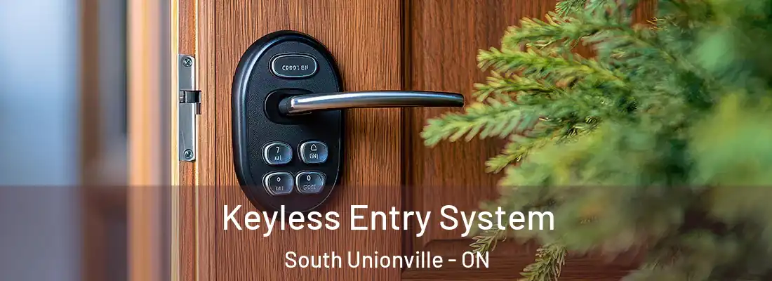  Keyless Entry System South Unionville - ON