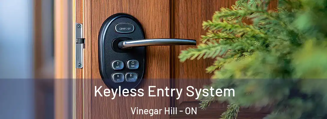  Keyless Entry System Vinegar Hill - ON