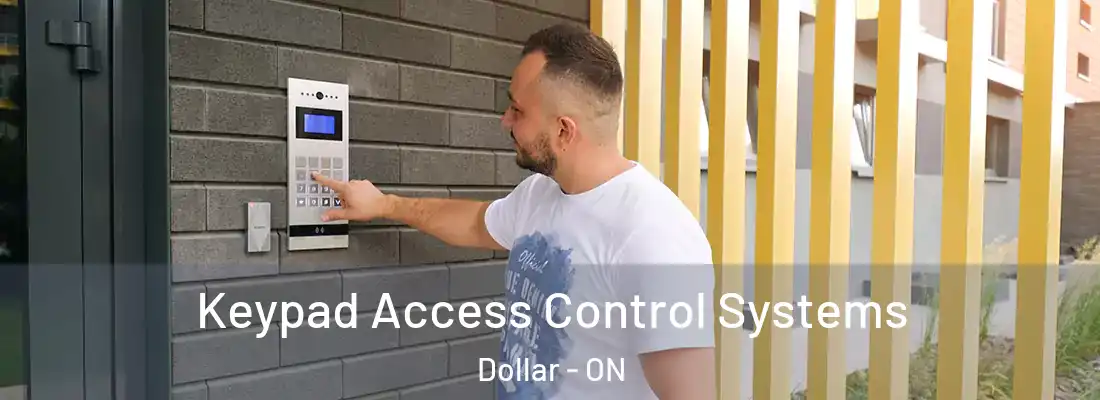  Keypad Access Control Systems Dollar - ON