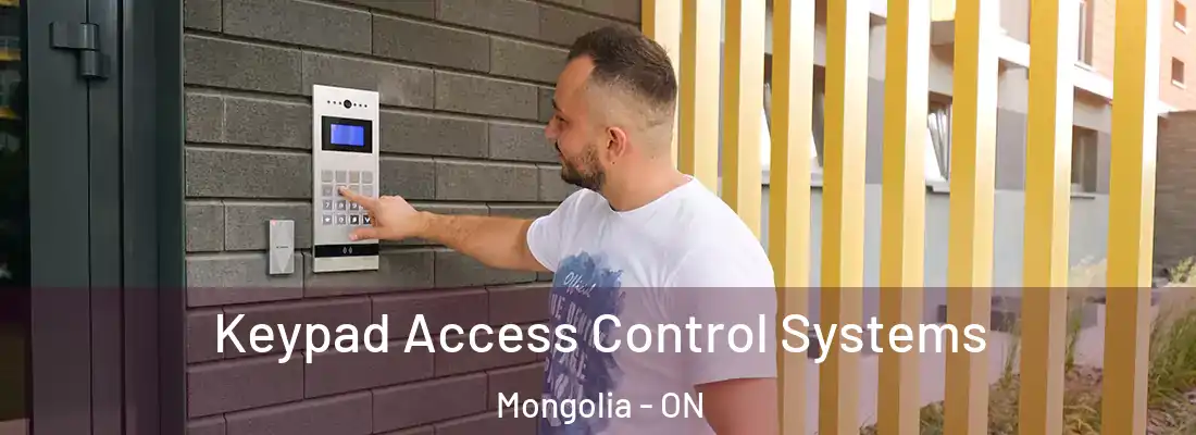  Keypad Access Control Systems Mongolia - ON