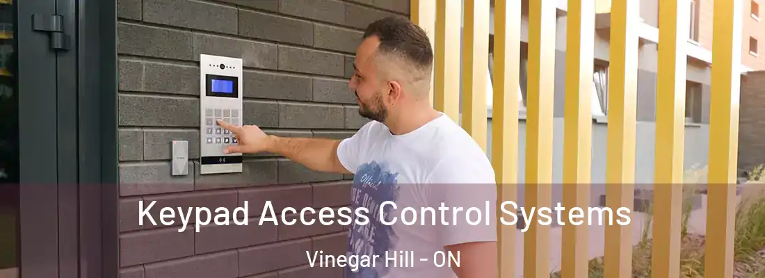  Keypad Access Control Systems Vinegar Hill - ON