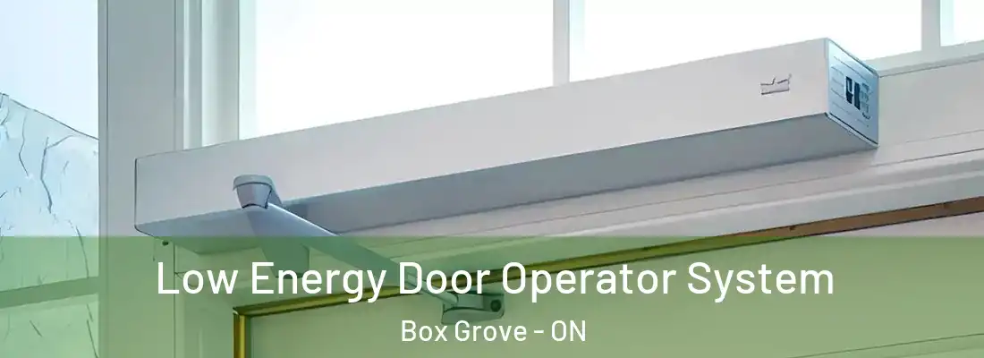  Low Energy Door Operator System Box Grove - ON