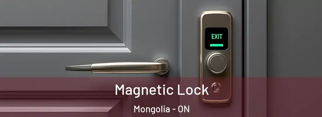  Magnetic Lock Mongolia - ON
