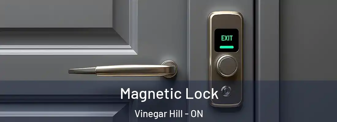  Magnetic Lock Vinegar Hill - ON