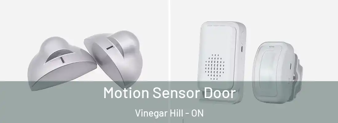  Motion Sensor Door Vinegar Hill - ON