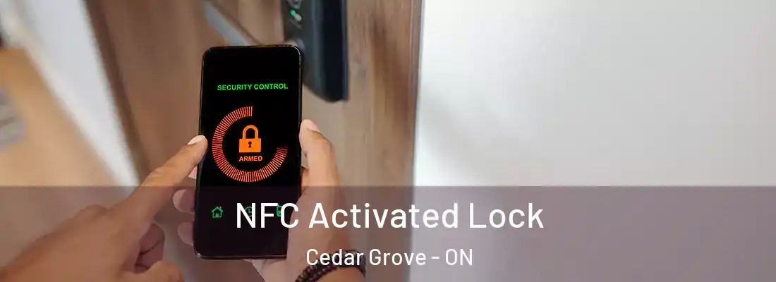  NFC Activated Lock Cedar Grove - ON
