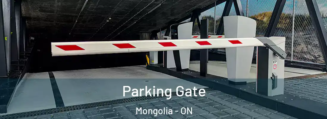  Parking Gate Mongolia - ON