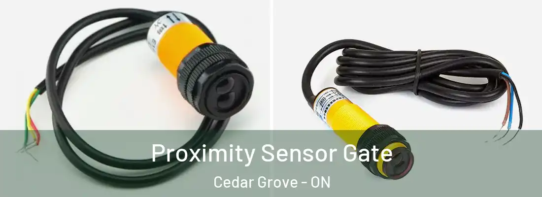  Proximity Sensor Gate Cedar Grove - ON