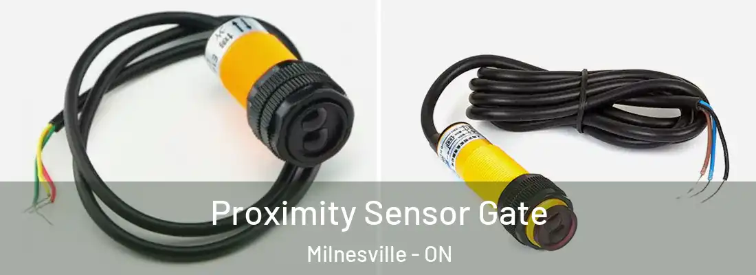  Proximity Sensor Gate Milnesville - ON