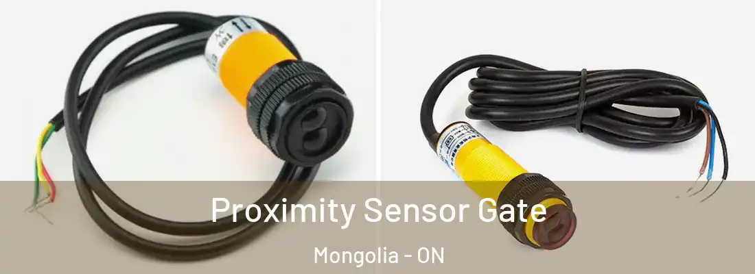  Proximity Sensor Gate Mongolia - ON