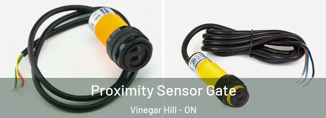  Proximity Sensor Gate Vinegar Hill - ON