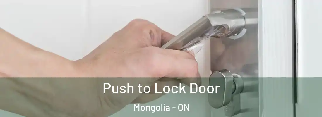  Push to Lock Door Mongolia - ON