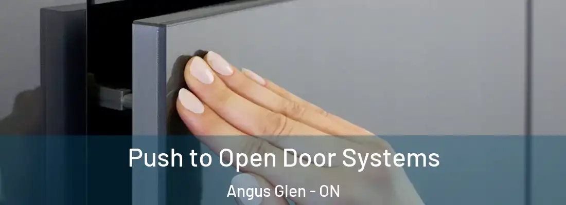  Push to Open Door Systems Angus Glen - ON