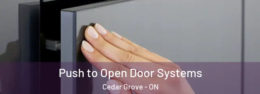  Push to Open Door Systems Cedar Grove - ON