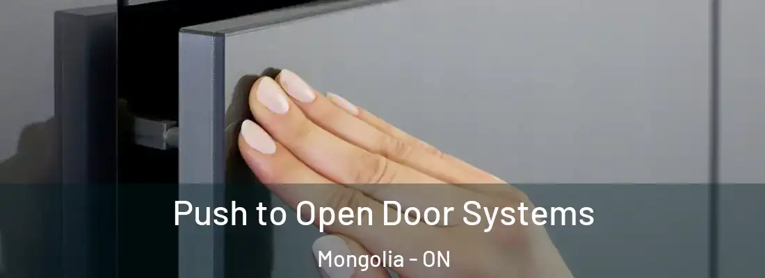  Push to Open Door Systems Mongolia - ON