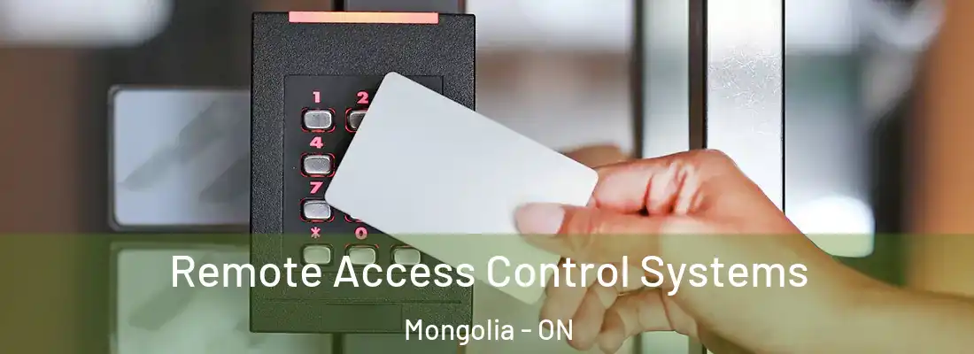  Remote Access Control Systems Mongolia - ON