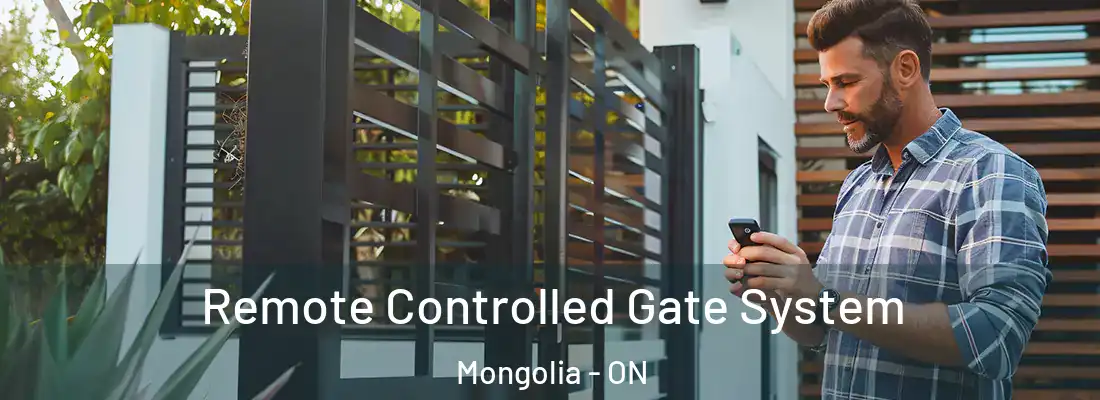  Remote Controlled Gate System Mongolia - ON