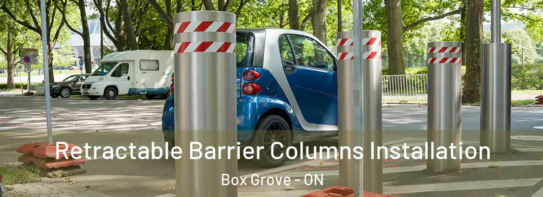  Retractable Barrier Columns Installation Box Grove - ON