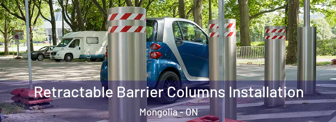  Retractable Barrier Columns Installation Mongolia - ON