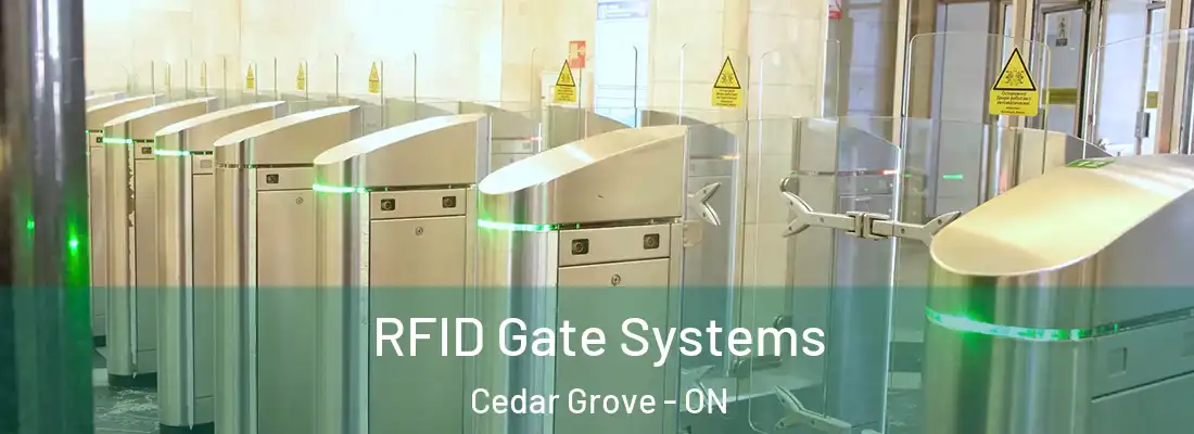  RFID Gate Systems Cedar Grove - ON