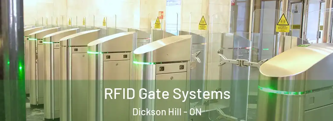 RFID Gate Systems Dickson Hill - ON